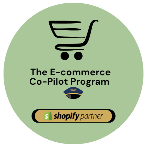 The E-commerce Co-Pilot Program 🧑‍✈️